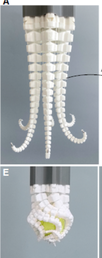 Logarithmic spiral - ROBOT 3D model