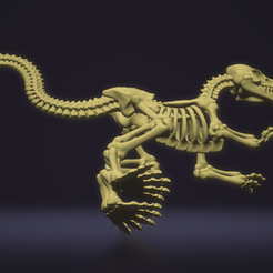 Velociraptor-fossil3.png Velociraptor fossil