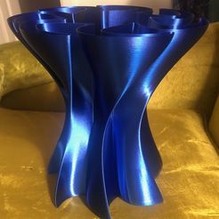 IMG_2757.jpg Free 3D file Heptaflower Vase・3D printing template to download