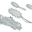 Prokaryotic_Wire_2.png Prokaryotic Bacteria Cell Anatomy