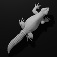 Pose2Full2-min.png Uromastyx - Spiny Tailed Lizard - Realistic Dabb Lizard Pet Reptile