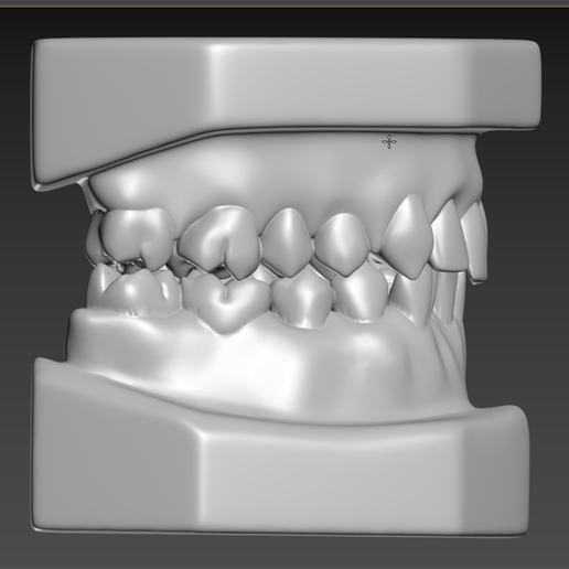🦷 Teeth・ STL File for 3D printing・Cults
