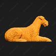 207-Airedale_Terrier_Pose_08.jpg Airedale Terrier Dog 3D Print Model Pose 08