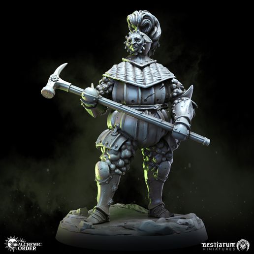 03_Leprosy_Knight_1.jpg Alchemic Order: Collection