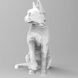 CAT.231.jpg Flux 2024 Cat - Cat