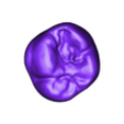 26.stl Tipodonto full