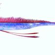 YY.jpg DOWNLOAD Hairtail DOWNLOAD FISH DINOSAUR DINOSAUR Hairtail FISH 3D MODEL ANIMATED - BLENDER - 3DS MAX - CINEMA 4D - FBX - MAYA - UNITY - UNREAL - OBJ -  Hairtail FISH DINOSAUR