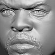 19.jpg Ice Cube bust 3D printing ready stl obj formats