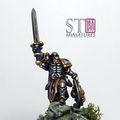 STminiatures