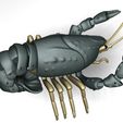 Free STL file Articulated Crayfish 🦞・Model to download and 3D