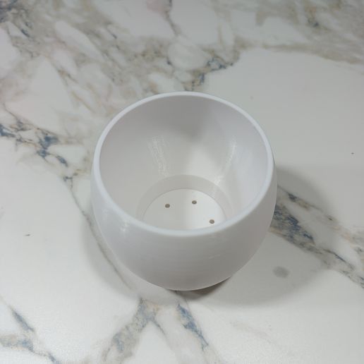 IMG_20251122_212823.jpg Maceta