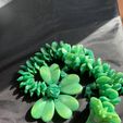 Lucky Clover Dragon, St. Patrick's Day Articulating Flexi Wiggle Pet, Print in Place, Fantasy Shamrock Dragon