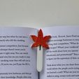 IMG_7490.jpg Summer leaf bookmark. Stl file for 3D printing. Print in place.