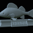 Perch-statue-31.png fish perch / Perca fluviatilis statue detailed texture for 3d printing