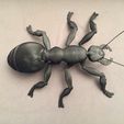 HORMIGA-03.jpg STL file GIANT ANT・3D printable model to download