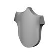 SH-EMPTY-01.JPG Decorative Shield base relief 3D print model