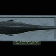Catfish-statue-20.png fish wels catfish / Silurus glanis statue detailed texture for 3d printing