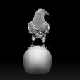 23213213123123.jpg bird crow