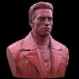 Screenshot_2.jpg Terminator Arnold Schwarzenegger Bust