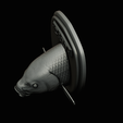 common-carp-27.png head trophy COMMON CARP (CYPRINUS CARPIO)open mouth statue 2 detailed texture for 3d printing