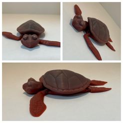 Bonita tortuga Flexi Print-in-Place