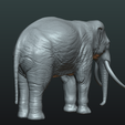 Elephant_pr-02.png Elephant
