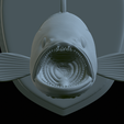 White-grouper-head-trophy-44.png fish head trophy white grouper / Epinephelus aeneus open mouth statue detailed texture for 3d printing