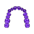 teeth upper - Lammesky.stl Dental Teeth training Model