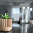 IMG_7852x.jpeg Small pot for succulents Minimalistic design planter