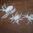 WhatsApp-Image-2023-04-22-at-20.46.41.jpeg ARTICULATED SPIDER 3