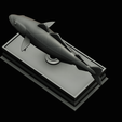 coalfish-statue-box-1-47.png fish coalfish / Pollachius virens with storage space / for 3d printing