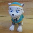 EVEREST13.jpg STL file Everest PawPatrol・3D printer design to download