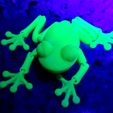 Симпатичная лягушка с флекси-принтом