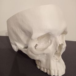 1648072161353.jpg Fichier STL Crâne humain anatomique・Modèle pour imprimante 3D à télécharger