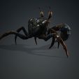 019.jpg Crab, - DOWNLOAD Crab 3d Model - PACK animated for Blender-Fbx-Unity-Maya-Unreal-C4d-3ds Max - 3D Printing Crab Crab