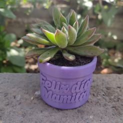 WhatsApp-Image-2022-04-07-at-13.09.06.jpeg STL file Mother's Day flowerpot・Design to download and 3D print