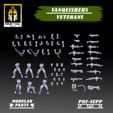 VANQUISHERS VETERANS = 2 gs r} ay 2 =< x “EN PRE-SUPP MODULAR # PARTS & Vanquishers Veteran