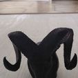 20260301_142550.jpg coupling cap
