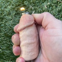 tempImage6NBfBK.jpg Файл OBJ Dic Your Bic Lighter Cover V1・Дизайн 3D-печати для загрузки3D