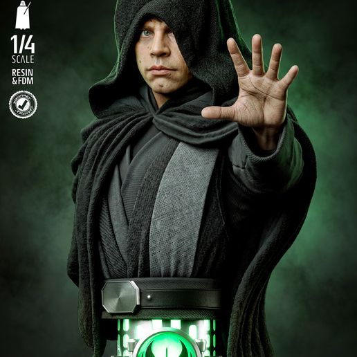 LUKE SKYWALKER BUST - TESTED AND READY FOR 3D PRINTING