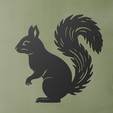 Squirrel-2.png Squirrel Wall Art