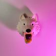 lobo-branco-frontal.jpg Wolf Coat Rack