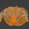 16.png 3D Model of Heart in Thorax