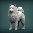 Samoyed-dog1.jpg 3D-Datei Samojeden Hund 3D-Druck Modell・3D-Druckvorlage zum Herunterladen
