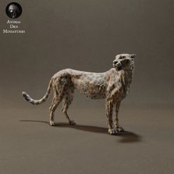 cheetah_1.jpg Fichier STL Guépard・Design pour impression 3D à télécharger