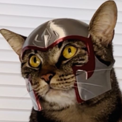 IMG_3301.jpeg Magnito Cat Helmet (X-Men)🪙