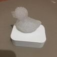 WhatsApp-Image-2022-01-29-at-12.12.47-AM-4.jpeg Duck Snow Mold, Snowball Maker