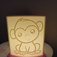 IMG_20210323_193446.jpg Baby Monkey Lamp - Baby Monkey Lamp