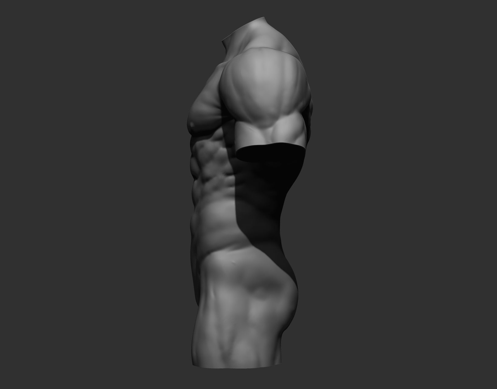 15.jpg Archivo 3D 4 Torsos masculinos・Modelo para descargar e imprimir en 3D, Daniartist