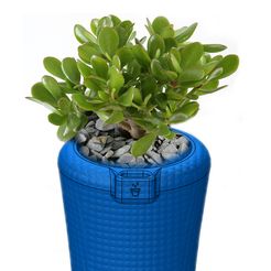 aaaa.jpg Archivo STL gratis Olla de relleno automático・Plan de impresión en 3D para descargar